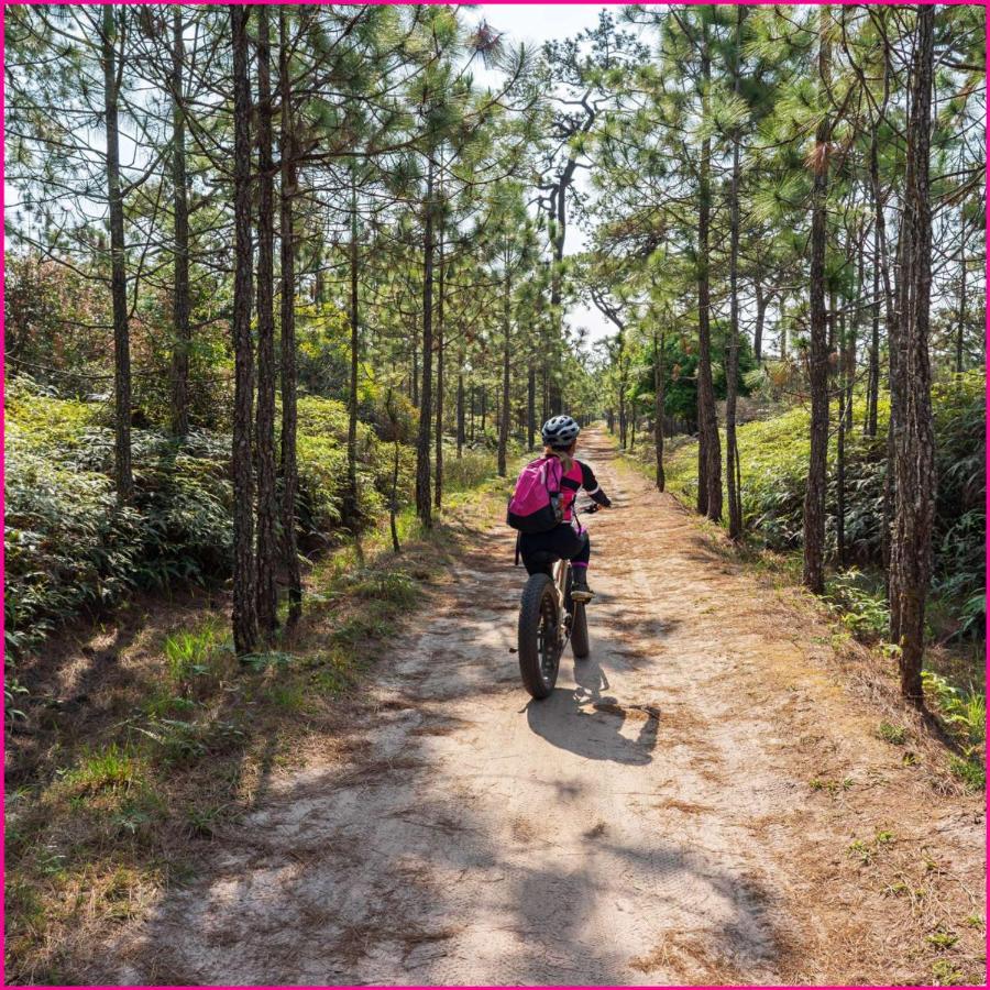 Mobilhome 2Ch Climatise-Terrasse Fermee-4 Velos-Camping 4 Etoiles Les Charmettes レ・マトゥ エクステリア 写真